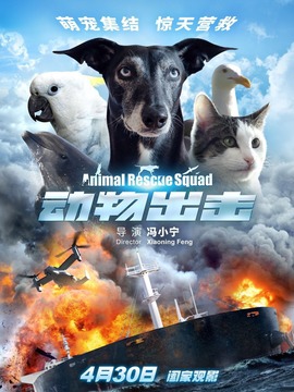 动物出击