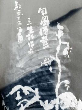 田园将芜