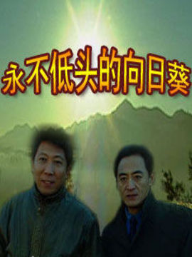 永不低头的向日葵