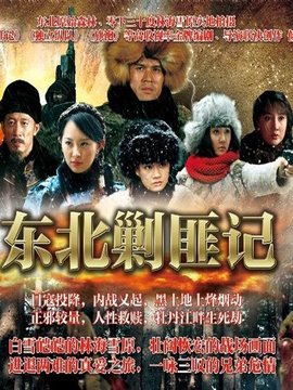 东北剿匪记