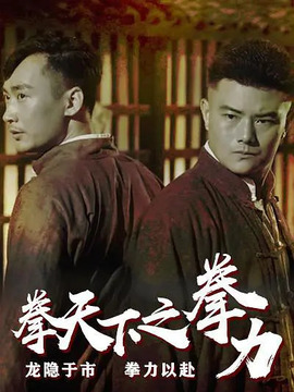 拳天下之拳力