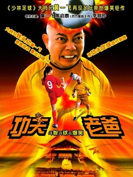 功夫老爸