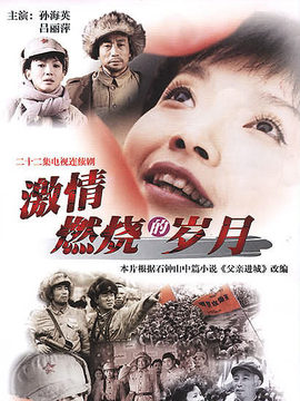 激情燃烧的岁月1