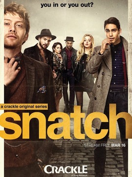 偷拐抢骗第一季