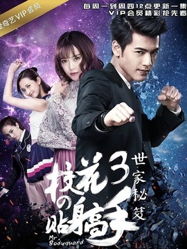 校花的贴身高手3