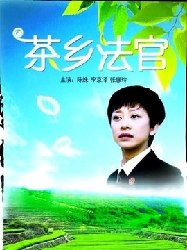 茶乡法官