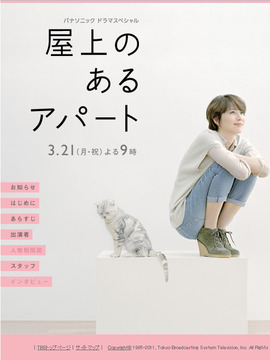 屋顶的公寓