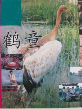 鹤童