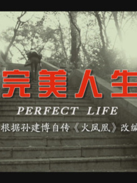 完美人生