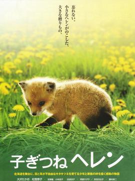 生命奇迹小狐狸