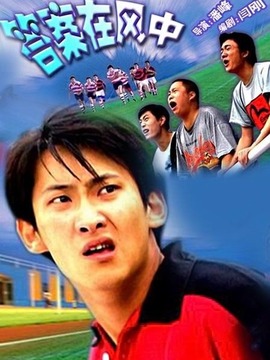 答案在风中