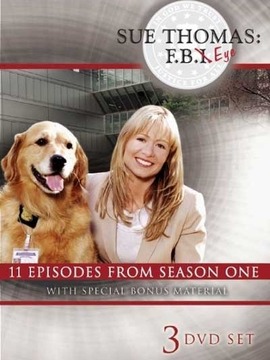 慧眼女特工第一季