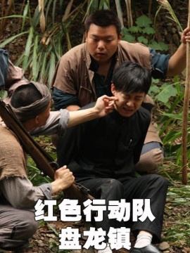 红色行动队之盘龙镇