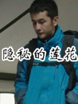 隐秘的莲花