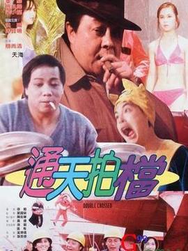 通天拍档
