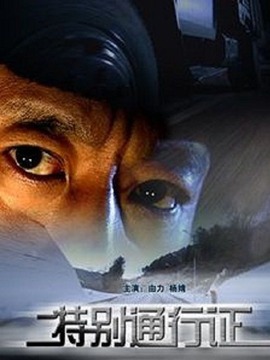 特别通行证