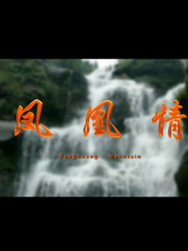 凤凰情