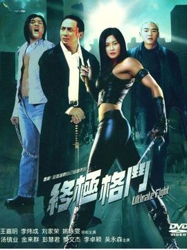 终极格斗战士