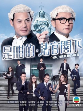 是咁的，法官阁下