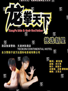 龙拳天下