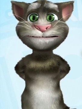 会说话的汤姆猫