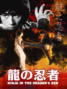 龙之忍者